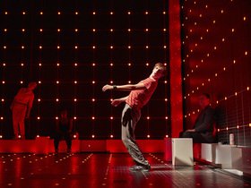The Curious Incident of the Dog in the Night-Time - Greenville
